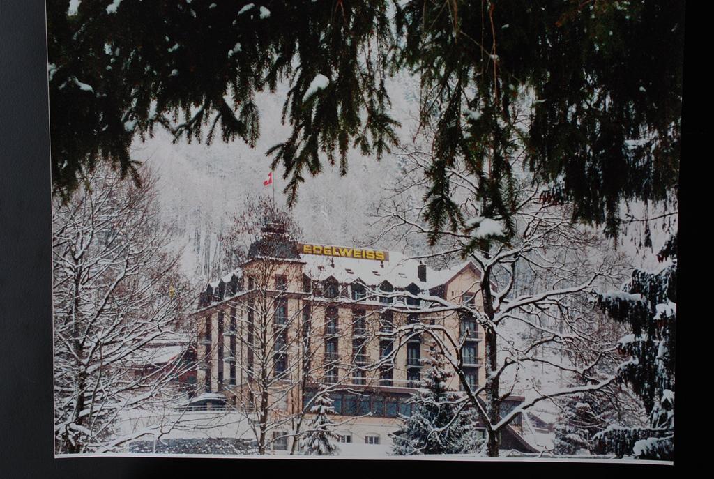 Hotel Edelweiss Engelberg Esterno foto